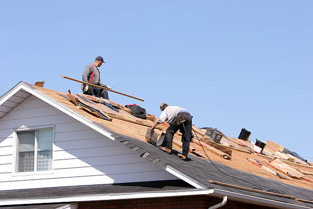 Best Roof Coating and Sealing  in Providence, KY